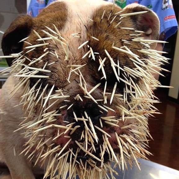 Members feeling disengaged? Maybe you’re doing it wrong.